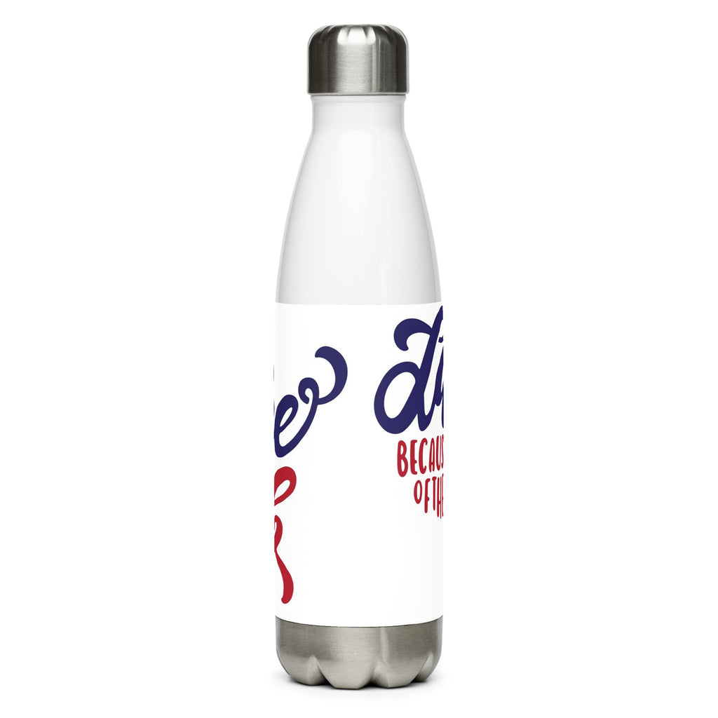 Stainless steel water bottle - Land of the Free